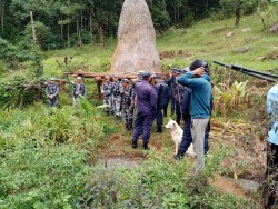 मानव–वन्यजन्तु द्वन्द्व बढ्दै